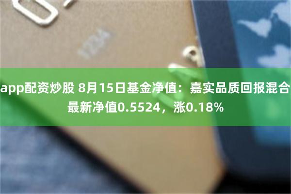 app配资炒股 8月15日基金净值：嘉实品质回报混合最新净值0.5524，涨0.18%