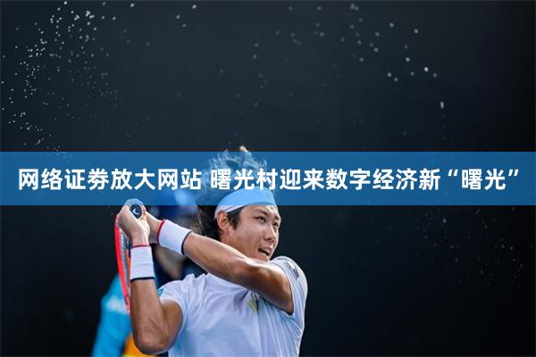 网络证劵放大网站 曙光村迎来数字经济新“曙光”