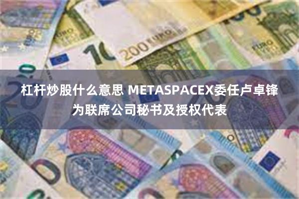 杠杆炒股什么意思 METASPACEX委任卢卓锋为联席公司秘书及授权代表
