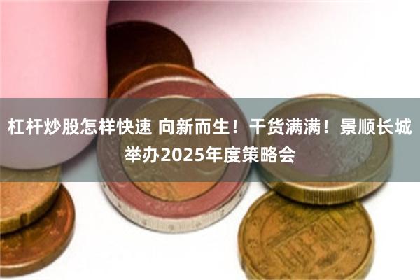 杠杆炒股怎样快速 向新而生！干货满满！景顺长城举办2025年度策略会