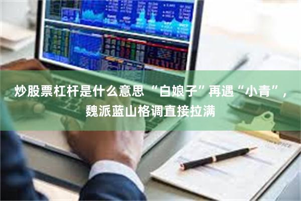 炒股票杠杆是什么意思 “白娘子”再遇“小青”，魏派蓝山格调直接拉满