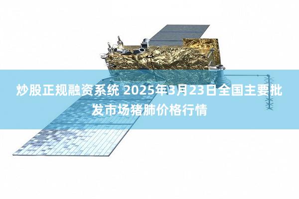炒股正规融资系统 2025年3月23日全国主要批发市场猪肺价格行情