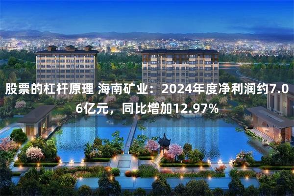 股票的杠杆原理 海南矿业：2024年度净利润约7.06亿元，同比增加12.97%