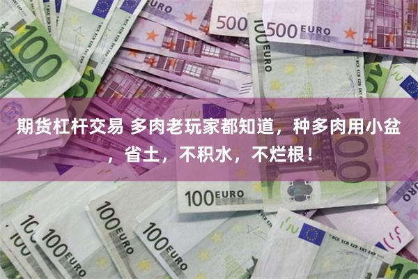 期货杠杆交易 多肉老玩家都知道，种多肉用小盆，省土，不积水，不烂根！