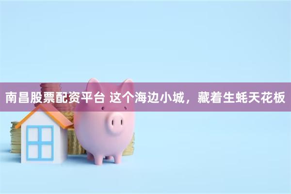 南昌股票配资平台 这个海边小城，藏着生蚝天花板