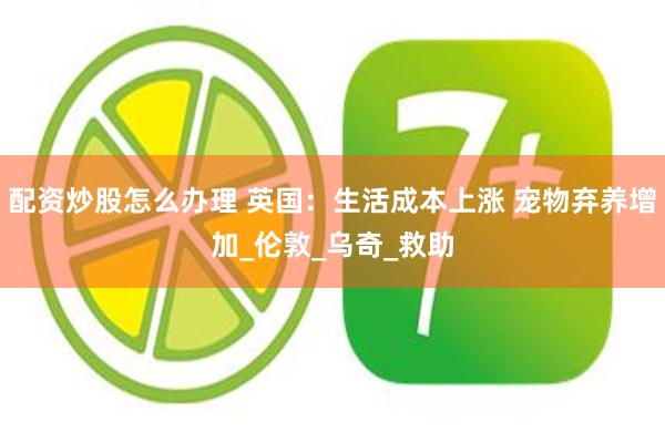 配资炒股怎么办理 英国：生活成本上涨 宠物弃养增加_伦敦_乌奇_救助