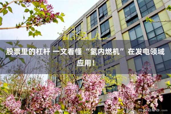 股票里的杠杆 一文看懂 “氢内燃机” 在发电领域应用！