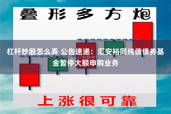 杠杆炒股怎么弄 公告速递：汇安裕同纯债债券基金暂停大额申购业务