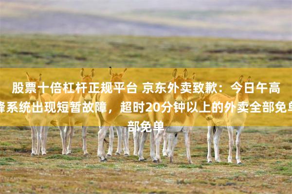 股票十倍杠杆正规平台 京东外卖致歉:今日午高峰系统出现短暂故障,超时20分钟以上的外卖全部免单