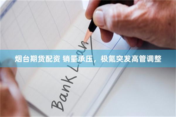 烟台期货配资 销量承压，极氪突发高管调整