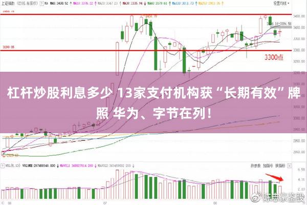 杠杆炒股利息多少 13家支付机构获“长期有效”牌照 华为、字节在列！