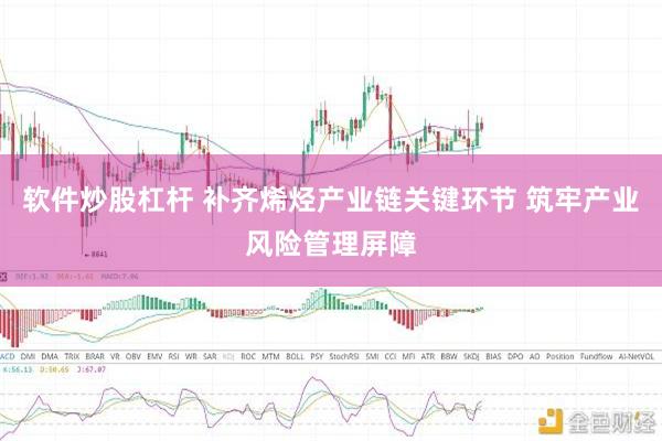 软件炒股杠杆 补齐烯烃产业链关键环节 筑牢产业风险管理屏障