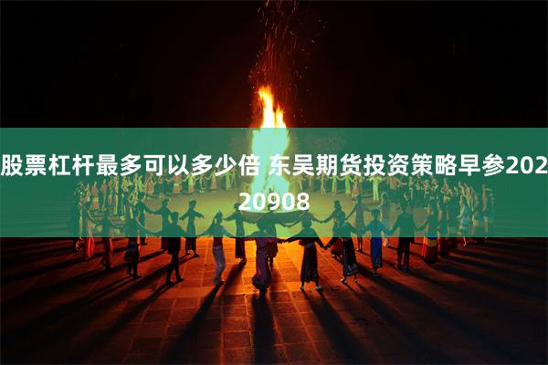 股票杠杆最多可以多少倍 东吴期货投资策略早参20220908