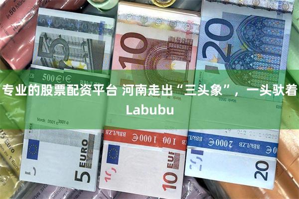 专业的股票配资平台 河南走出“三头象”，一头驮着Labubu