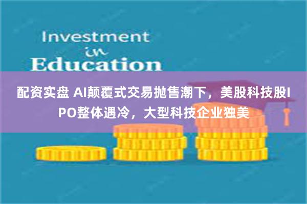 配资实盘 AI颠覆式交易抛售潮下，美股科技股IPO整体遇冷，大型科技企业独美