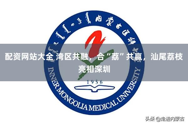 配资网站大全 湾区共融，合“荔”共赢，汕尾荔枝亮相深圳