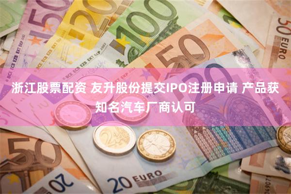 浙江股票配资 友升股份提交IPO注册申请 产品获知名汽车厂商认可