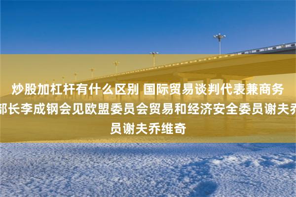 炒股加杠杆有什么区别 国际贸易谈判代表兼商务部副部长李成钢会见欧盟委员会贸易和经济安全委员谢夫乔维奇