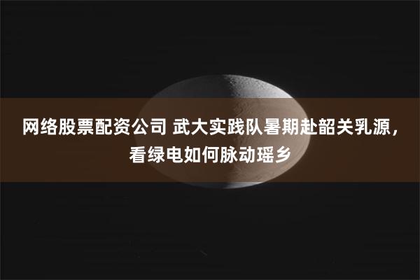 网络股票配资公司 武大实践队暑期赴韶关乳源，看绿电如何脉动瑶乡
