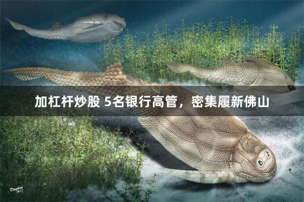 加杠杆炒股 5名银行高管，密集履新佛山