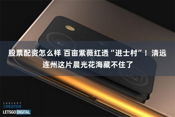 股票配资怎么样 百亩紫薇红透“进士村”！清远连州这片晨光花海藏不住了