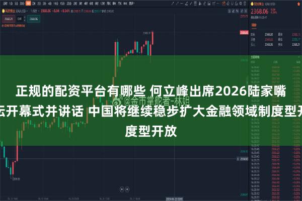 正规的配资平台有哪些 何立峰出席2026陆家嘴论坛开幕式并讲话 中国将继续稳步扩大金融领域制度型开放