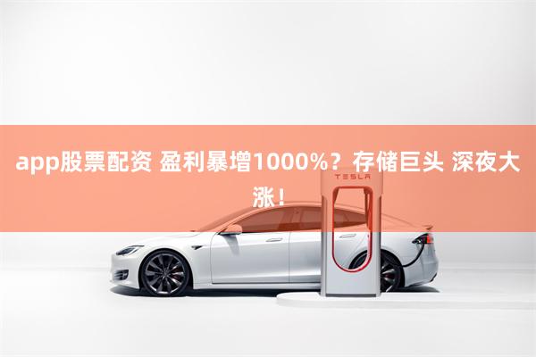 app股票配资 盈利暴增1000%？存储巨头 深夜大涨！