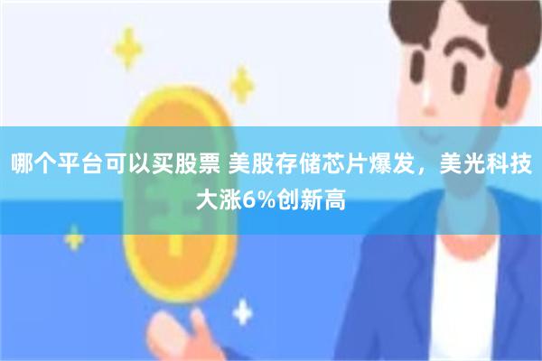 哪个平台可以买股票 美股存储芯片爆发，美光科技大涨6%创新高