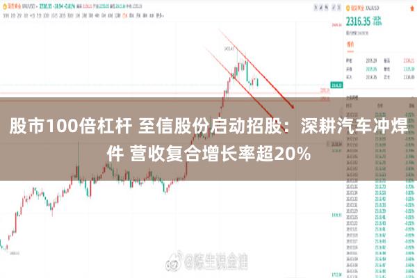 股市100倍杠杆 至信股份启动招股：深耕汽车冲焊件 营收复合增长率超20%