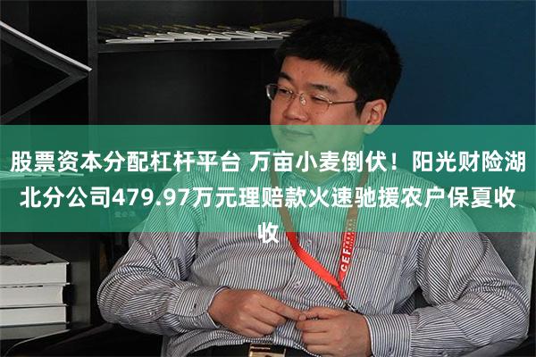 股票资本分配杠杆平台 万亩小麦倒伏!阳光财险湖北分公司479.97万元理赔款火速驰援农户保夏收