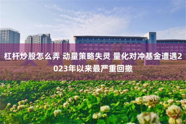 杠杆炒股怎么弄 动量策略失灵 量化对冲基金遭遇2023年以来最严重回撤