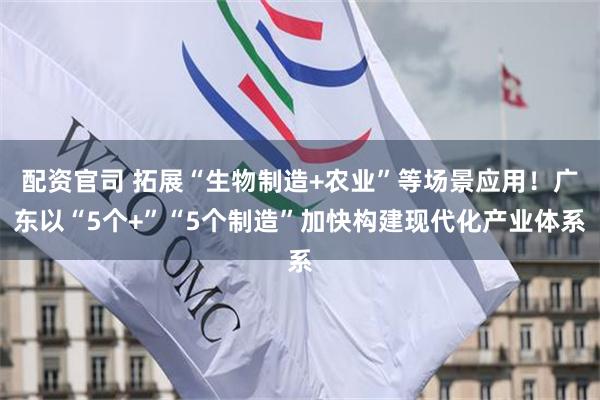 配资官司 拓展“生物制造+农业”等场景应用！广东以“5个+”“5个制造”加快构建现代化产业体系