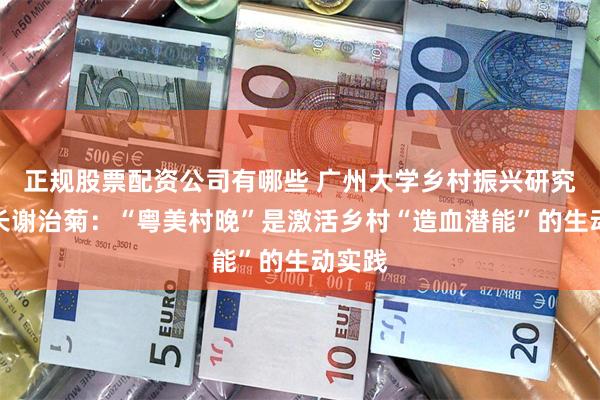 正规股票配资公司有哪些 广州大学乡村振兴研究院院长谢治菊：“粤美村晚”是激活乡村“造血潜能”的生动实践