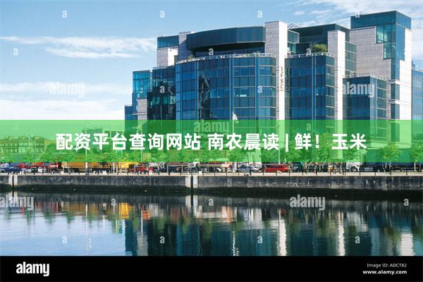 配资平台查询网站 南农晨读 | 鲜!玉米
