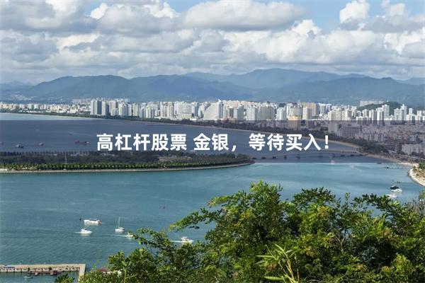 高杠杆股票 金银，等待买入！