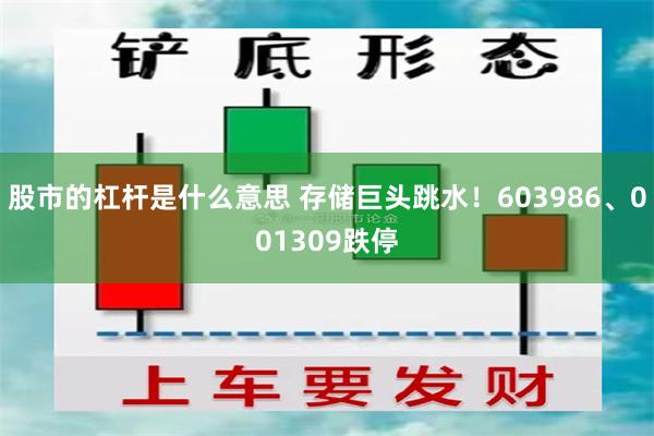 股市的杠杆是什么意思 存储巨头跳水!603986、001309跌停