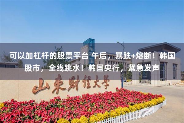 可以加杠杆的股票平台 午后,暴跌+熔断!韩国股市,全线跳水!韩国央行,紧急发声