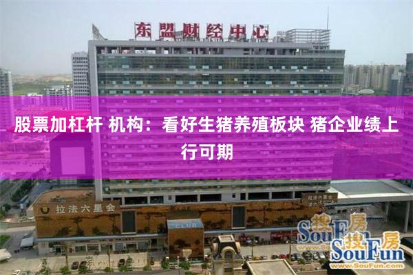 股票加杠杆 机构:看好生猪养殖板块 猪企业绩上行可期