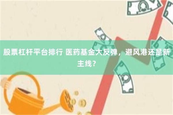 股票杠杆平台排行 医药基金大反弹,避风港还是新主线?