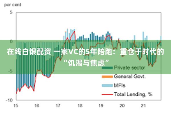 在线白银配资 一家VC的5年陪跑：重仓于时代的“饥渴与焦虑”