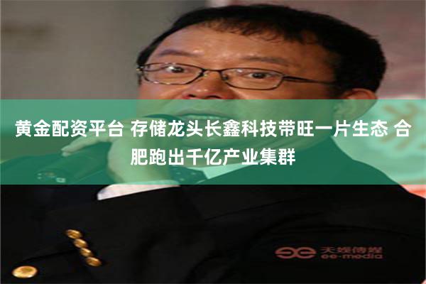 黄金配资平台 存储龙头长鑫科技带旺一片生态 合肥跑出千亿产业集群