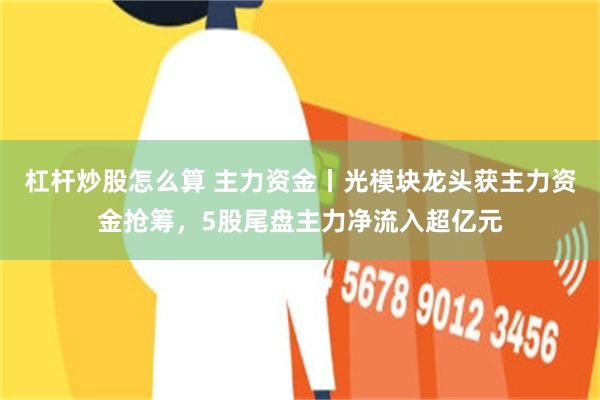 杠杆炒股怎么算 主力资金丨光模块龙头获主力资金抢筹，5股尾盘主力净流入超亿元