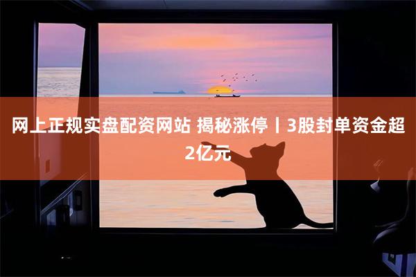 网上正规实盘配资网站 揭秘涨停丨3股封单资金超2亿元