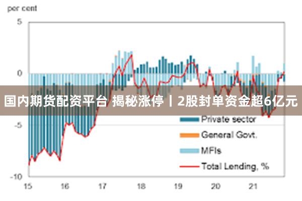 国内期货配资平台 揭秘涨停丨2股封单资金超6亿元