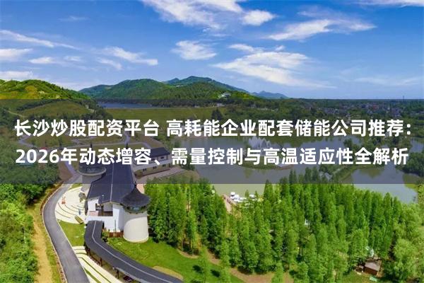 长沙炒股配资平台 高耗能企业配套储能公司推荐：2026年动态增容、需量控制与高温适应性全解析