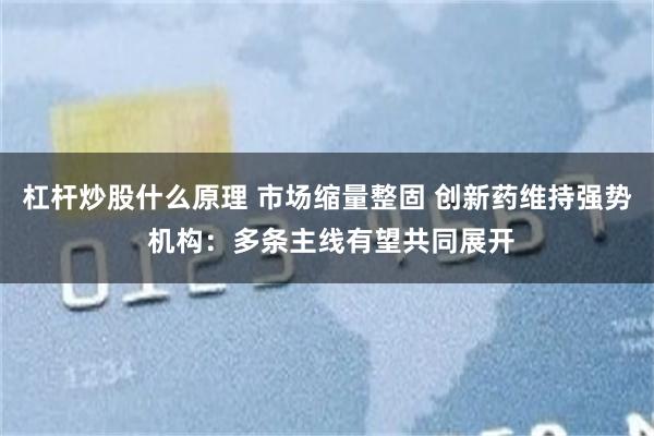 杠杆炒股什么原理 市场缩量整固 创新药维持强势 机构：多条主线有望共同展开