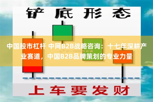 中国股市杠杆 中网B2B战略咨询：十七年深耕产业赛道，中国B2B品牌策划的专业力量