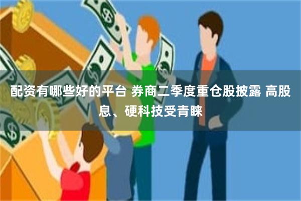 配资有哪些好的平台 券商二季度重仓股披露 高股息、硬科技受青睐