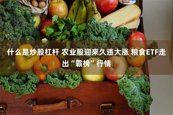 什么是炒股杠杆 农业股迎来久违大涨 粮食ETF走出“霸榜”行情