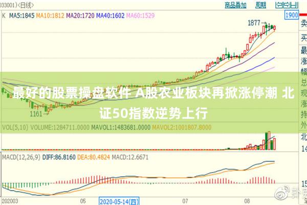 最好的股票操盘软件 A股农业板块再掀涨停潮 北证50指数逆势上行